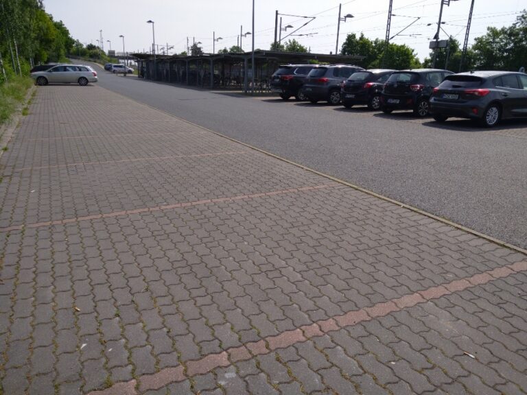 Artenschutz ist keine Nebensache